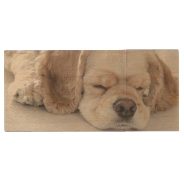 Cocker spaniel dog sleeping wood flash drive (Front)
