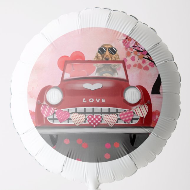 Cocker Spaniel Driving Car with Hearts Valentine's Balloon (Front)
