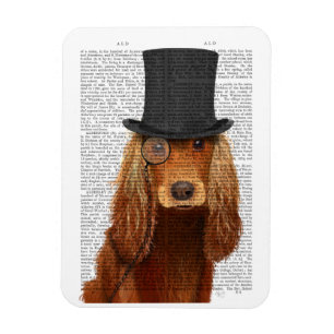 Cocker Spaniel, Formal Hound and Hat Magnet