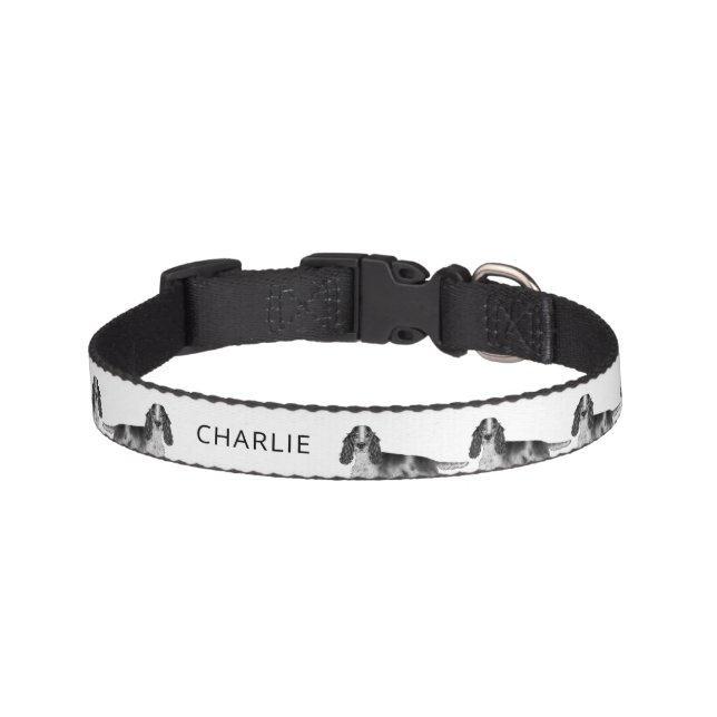 Cocker Spaniel In Black And White & Custom Name Pet Collar (Front)