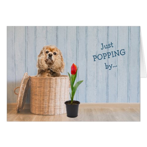 Cocker Spaniel in Wicker Basket Birthday Card