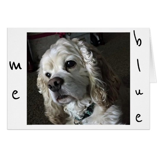 COCKER SPANIEL IS "BLUE" WITHOUT "YOU" CARDS (Front Horizontal)
