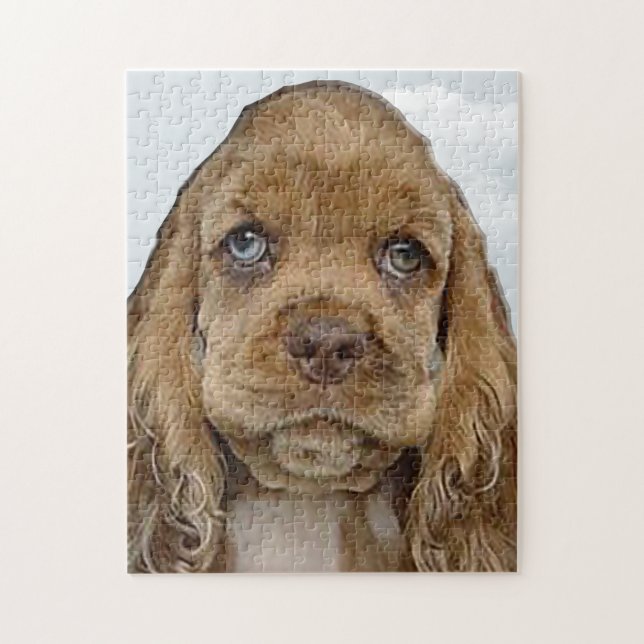 Cocker spaniel jigsaw puzzle (Vertical)