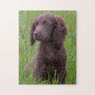 Cocker Spaniel Jigsaw Puzzle