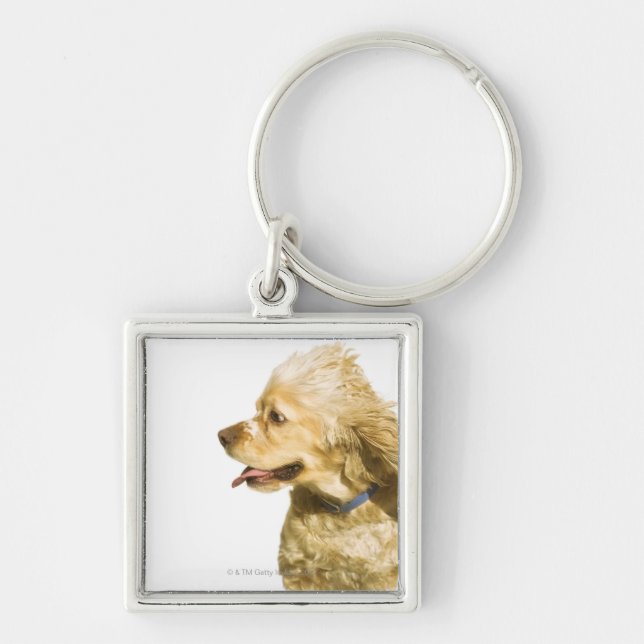 Cocker Spaniel Keychain (Front)