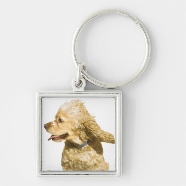 Cocker Spaniel Keychain (Front)