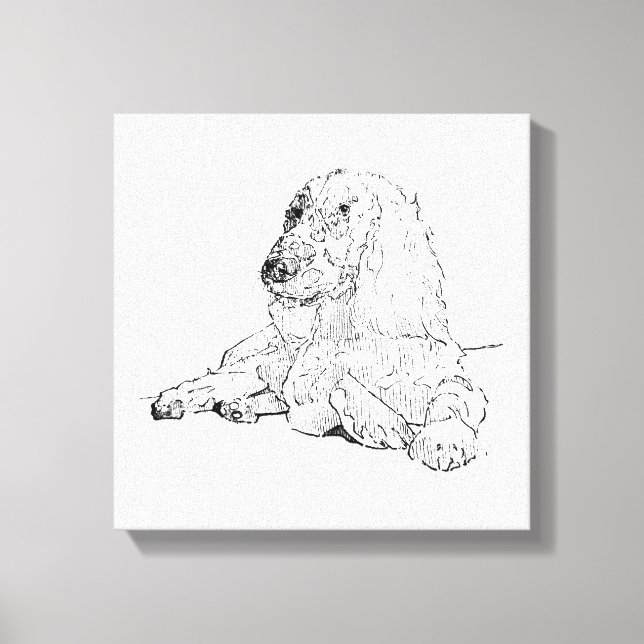 Cocker Spaniel Line Drawing Art Dog  Canvas Print (Front)