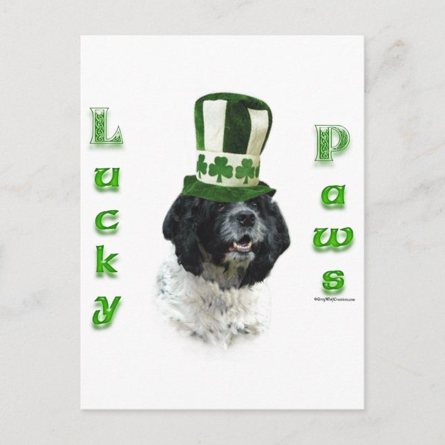 Cocker Spaniel Lucky Paws Postcard (Front)