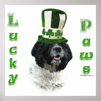 Cocker Spaniel Lucky Paws Poster