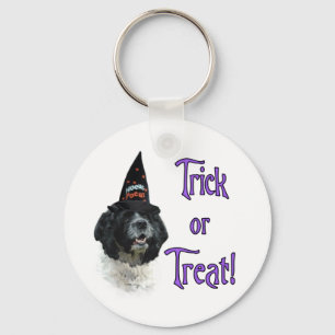 Cocker Spaniel (parti) Trick Keychain