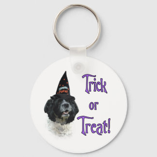 Cocker Spaniel (parti) Trick Keychain