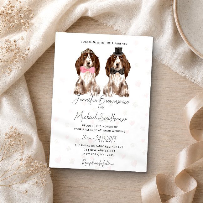 Cocker Spaniel paws hearts dog wedding Invitation