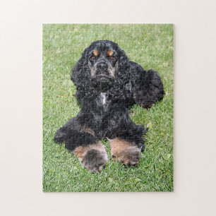 Cocker Spaniel Photo Jigsaw Puzzle