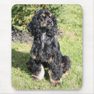 Cocker Spaniel Photo Mouse Pad