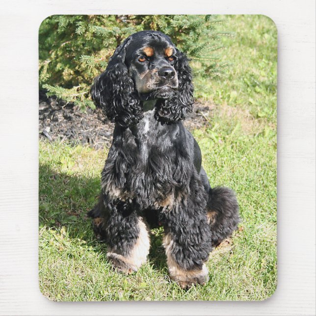 Cocker Spaniel Photo Mouse Pad (Front)