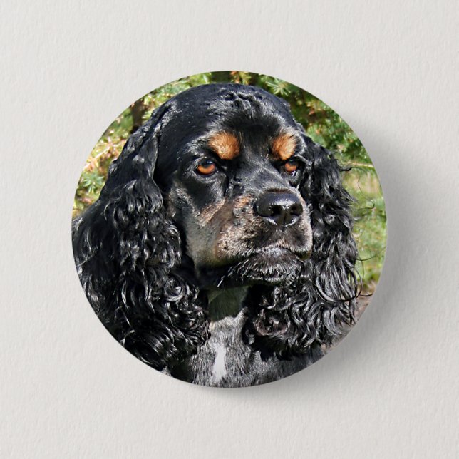 Cocker Spaniel Pinback Button (Front)
