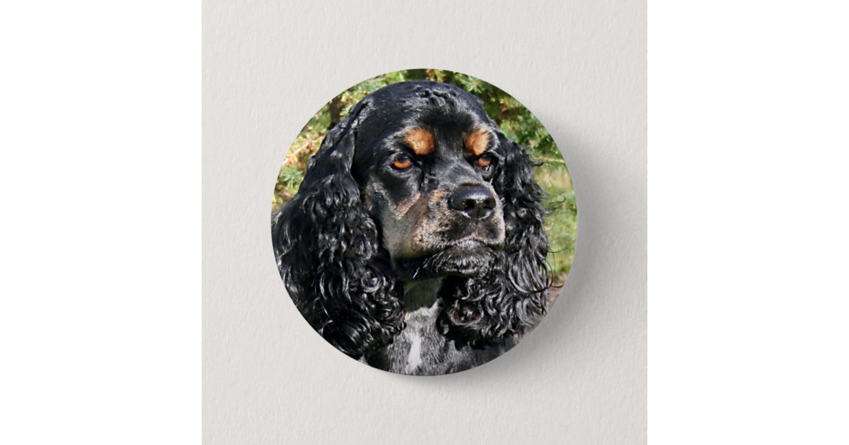 Nurse Cocker Spaniel badge reel