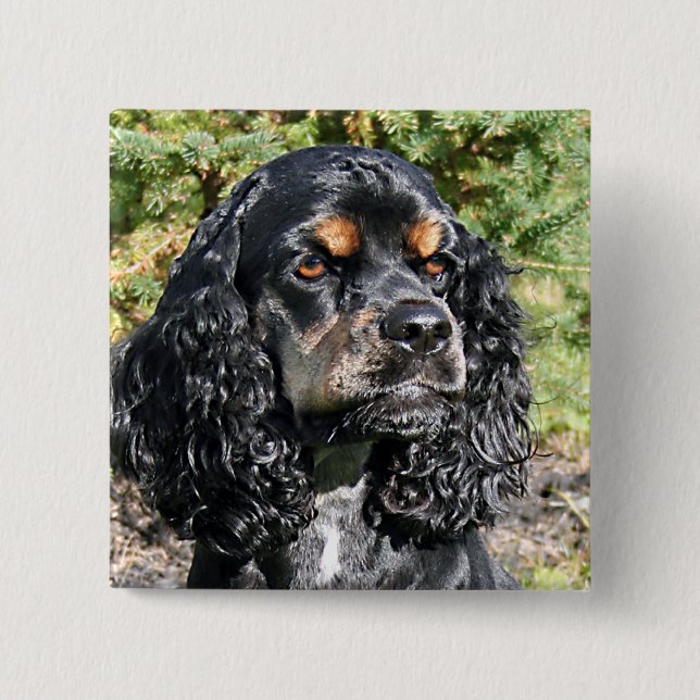 Cocker Spaniel Pinback Button (Front)