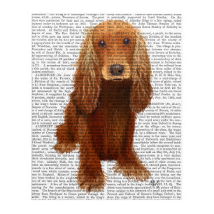 Cocker Spaniel Plain Acrylic Print