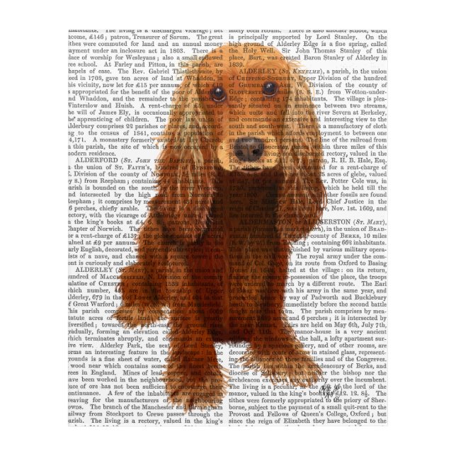 Cocker Spaniel Plain Acrylic Print (Front)