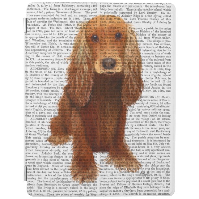 Cocker Spaniel Plain iPad Air Cover (Front)