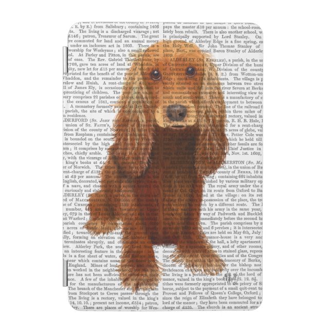 Cocker Spaniel Plain iPad Mini Cover (Front)