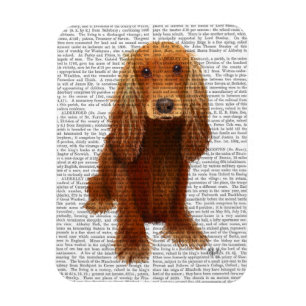 Cocker Spaniel Plain Magnet