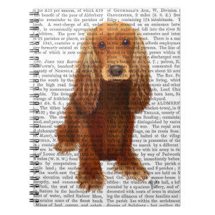 Cocker Spaniel Plain Notebook