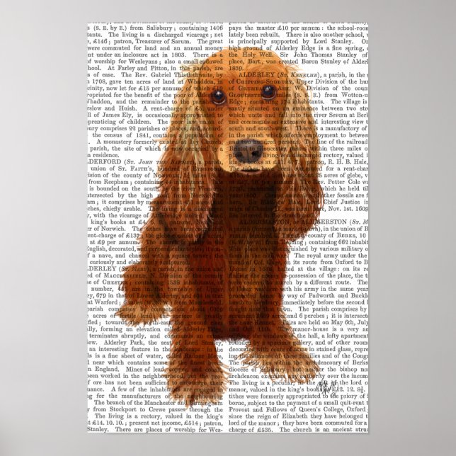 Cocker Spaniel Plain Poster (Front)