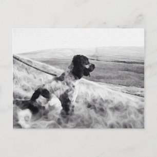 Cocker Spaniel Postcard