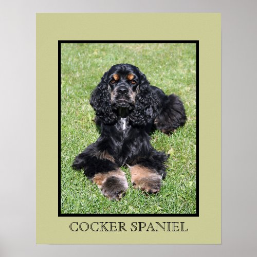 Cocker Spaniel Print