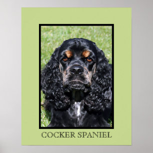 Cocker Spaniel Print
