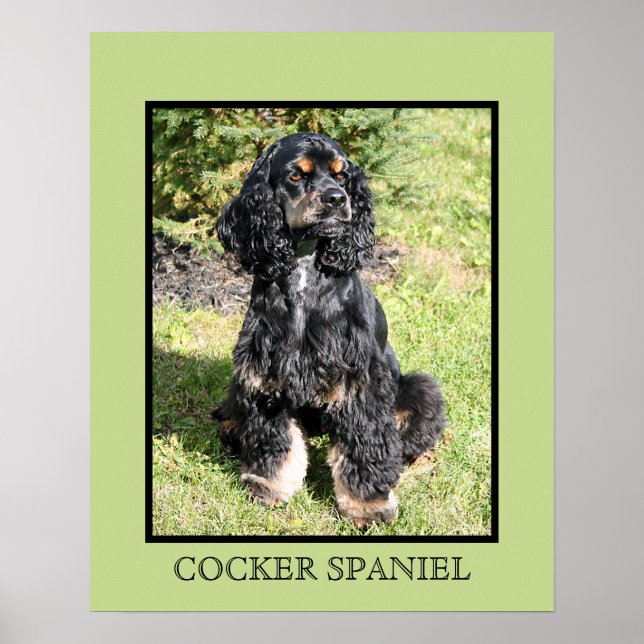 Cocker Spaniel Print (Front)