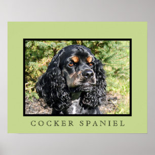 Cocker Spaniel Print
