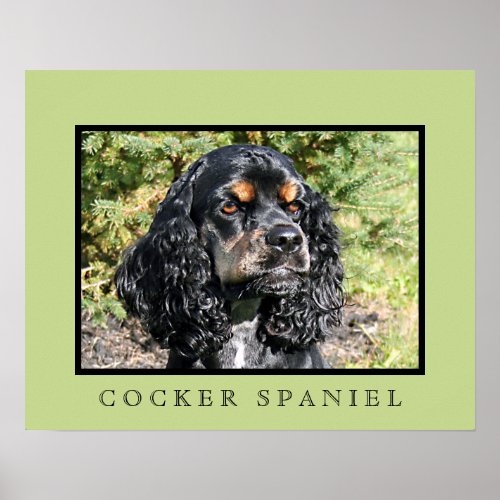 Cocker Spaniel Print