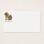 Cocker spaniel puppies (Front)