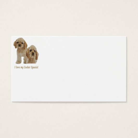 Cocker spaniel puppies (Front)