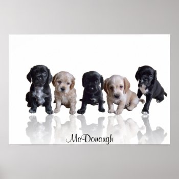 Cocker Spaniel Puppies Poster by ArtisticallyHome at Zazzle