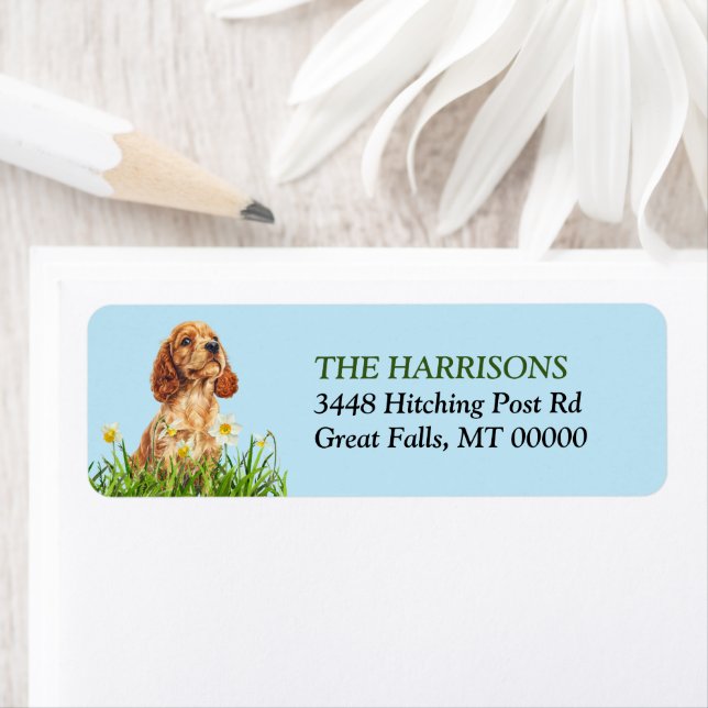 Cocker Spaniel Puppy Daffodil Garden Label (Insitu)