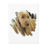 Cocker Spaniel Puppy Dog Postcard