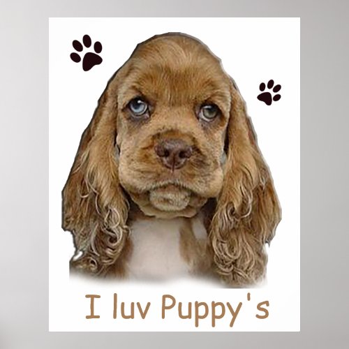 Cocker spaniel puppy  poster