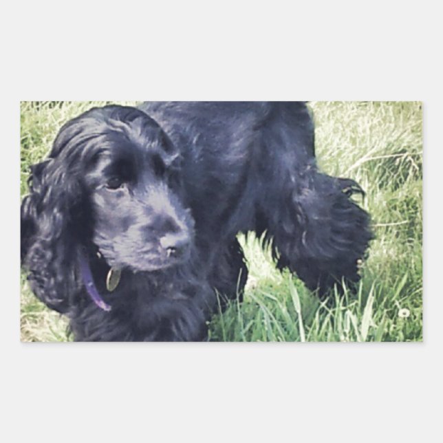 Cocker Spaniel Puppy Rectangular Sticker (Front)