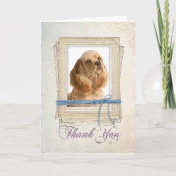 Cocker Spaniel Thank You Card by ForLoveofDogs at Zazzle