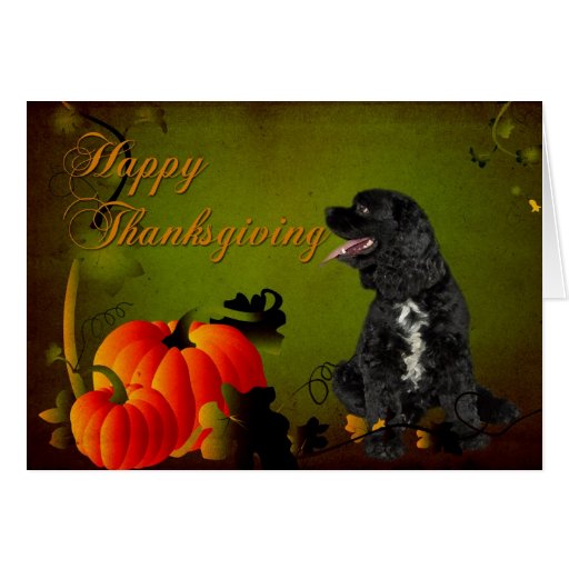 Cocker Spaniel Thanksgiving Card | Zazzle