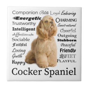 Cocker Spaniel Tile