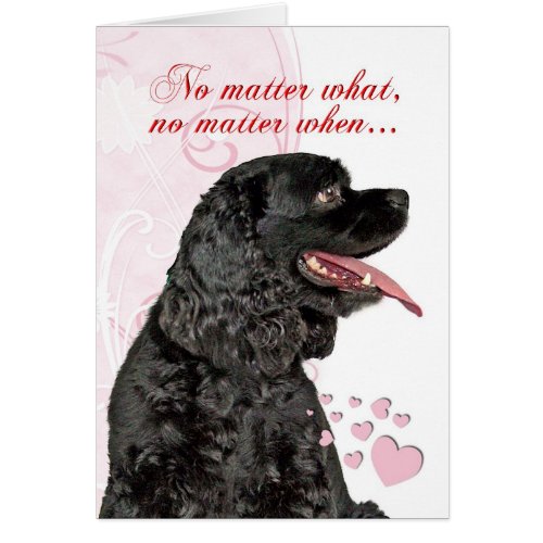 Cocker Spaniel Valentine