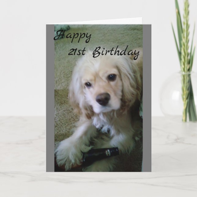 COCKER SPANIEL WITH BEER-HAPPY **21st BIRTHDAY** Card (Front)