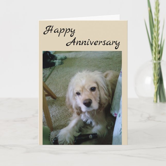 COCKER SPANIEL WITH BEER-HAPPY ANNIVERSARY CARD (Front)