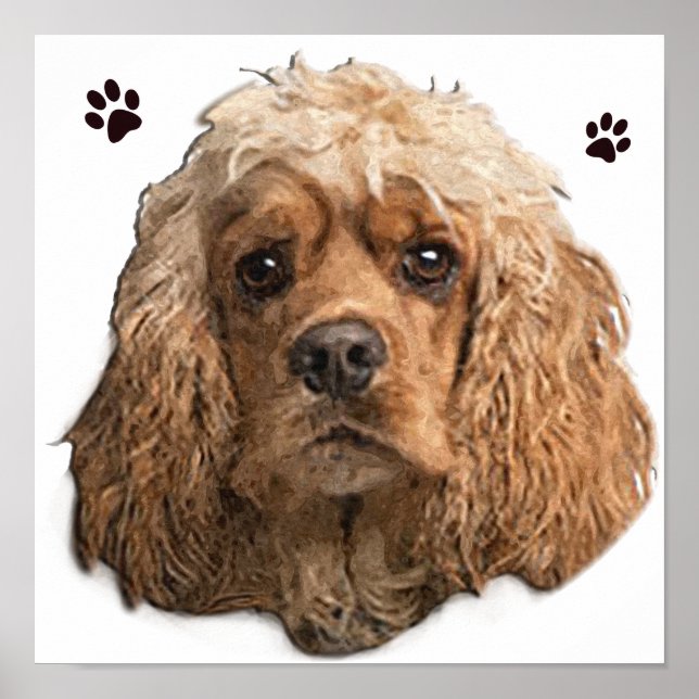 cocker Spaniels Poster (Front)