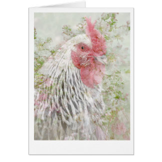 Cockeral in flowers. cards